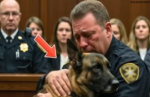 Wrongfully convicted cop begs to see his K9 one last time – What happened next sh0cked everyone