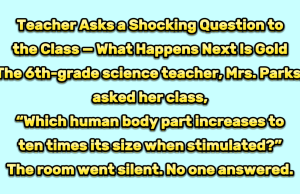 “Which human body part increases to ten times its size when stimulated?”