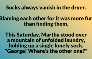 Socks always vanish in the dryer. Blaming each other for it was more fun than finding them.