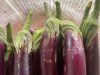 Doctors reveal that eating eggplants causes