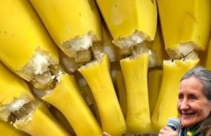 14 Unexpected Facts About Bananas: What Lies Behind the French’s Favorite Fruit