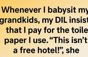 She Asked Me to Pay for Toilet Paper While Babysitting — My Response Left Her Completely Speechless