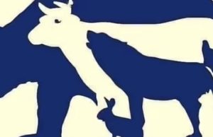 This Test Will Reveal Your “Worst Flaw” Based on the First Animal You See