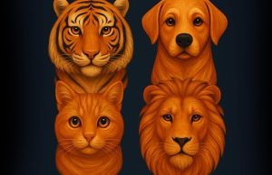 Pick The Odd One Out To See if You’re a Narcissist