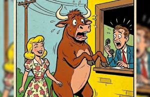 Buying A Bull