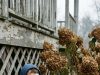 A twelve-year-old boy was trembling behind my bushes, covered in bl00d and pleading for me not to send him back home. What my rescue dog did next, and how the entire neighborhood responded, will absolutely break your heart.