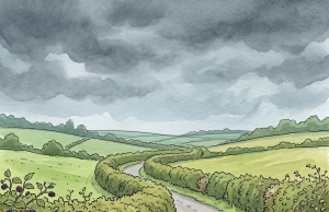 The Police Officer Was NOT Expecting That Answer… 😂🐒